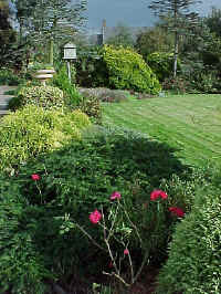 uk39007f.jpg (72639 bytes)