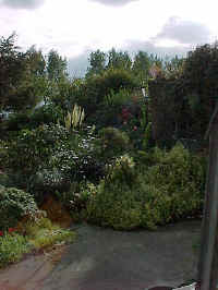 uk39009f.jpg (49187 bytes)